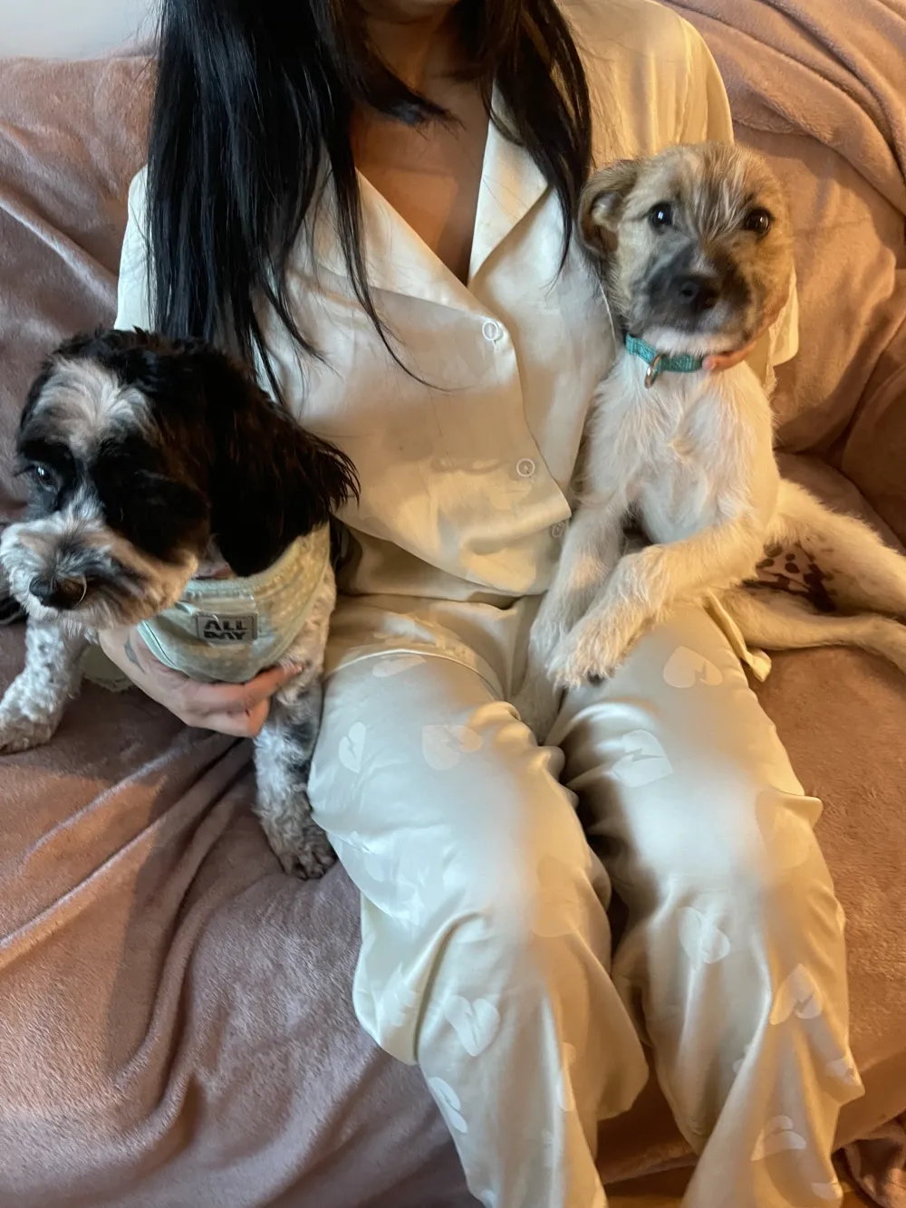 Harleen relaxing with two of her boarders at home in Perth